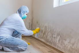 Mold Removal for HVAC Installations in Campti, LA